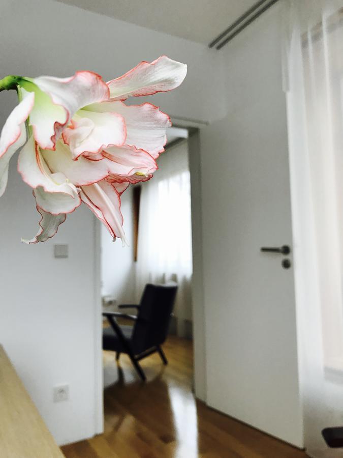Design Apartment In Park Sofia Extérieur photo